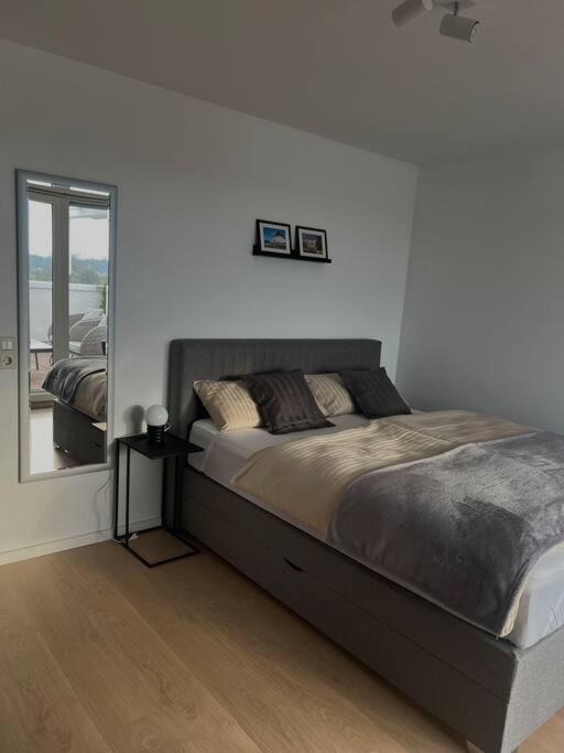 Penthouse Apartment In Kehl Kültér fotó